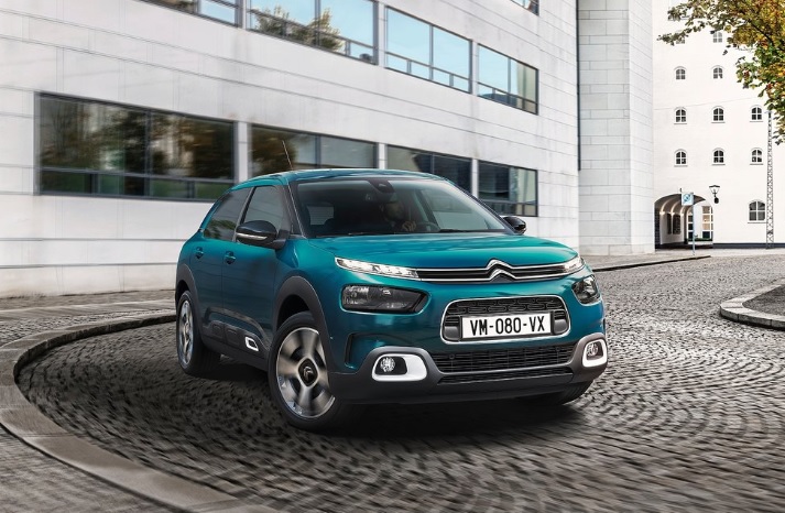 C4 Cactus Models